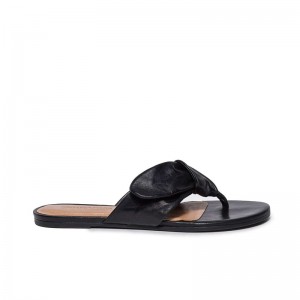 Sandalias Deslizantes Bernardo Harmony Thong Mujer Negros | KQG4729HR