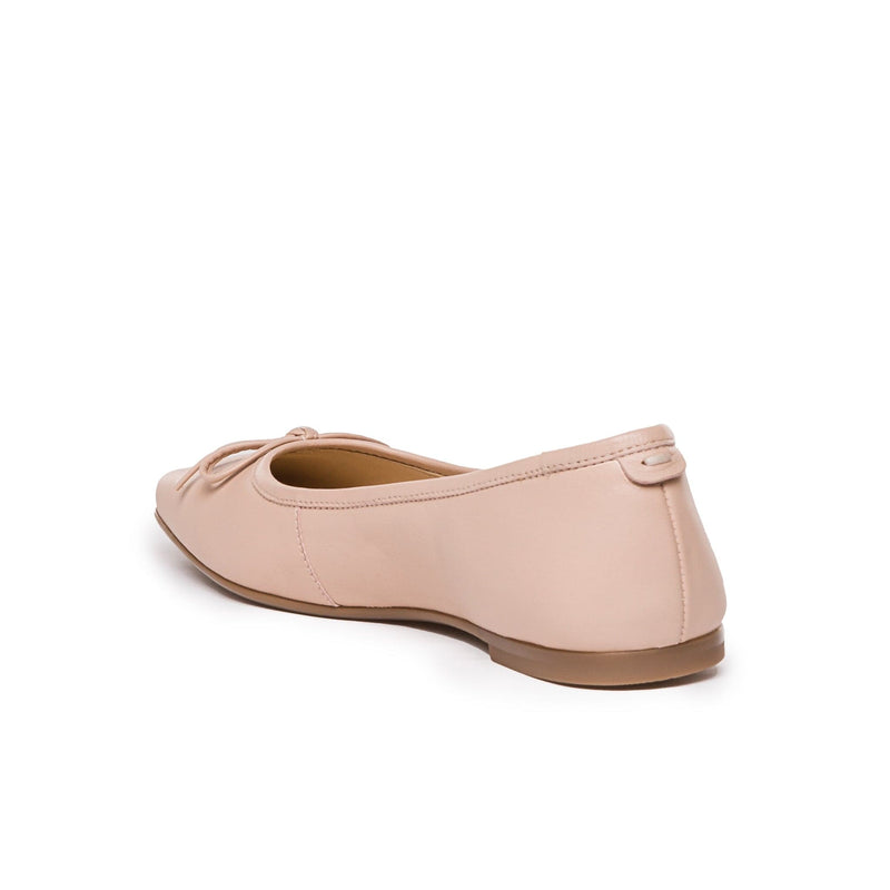 Bailarinas Bernardo Gwynn Mujer Rosas | NVY4076IT