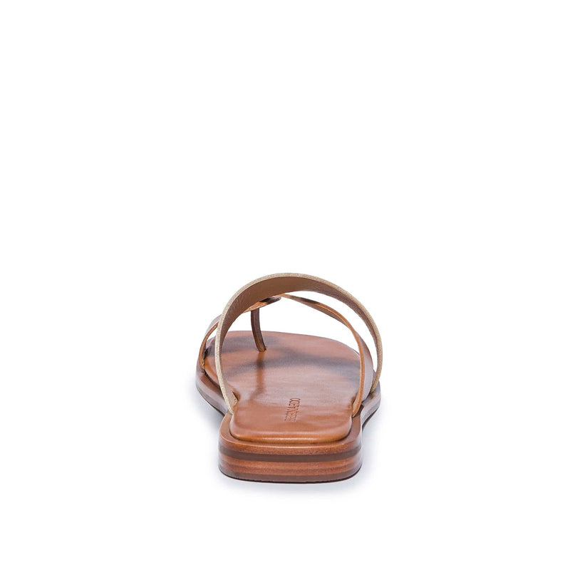 Sandalias Deslizantes Bernardo Amelia Cross Strap Mujer Dorados Marrom | OXI612ZR