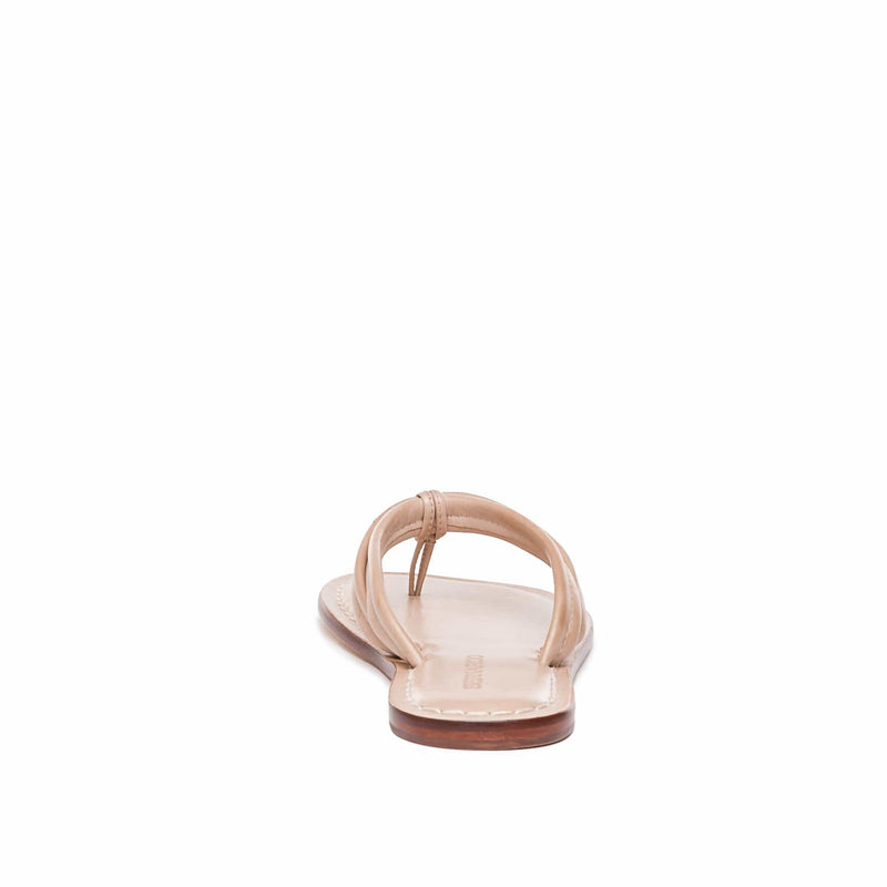 Sandalias Deslizantes Bernardo Miami Thong Mujer Rosas | OMQ8237RU