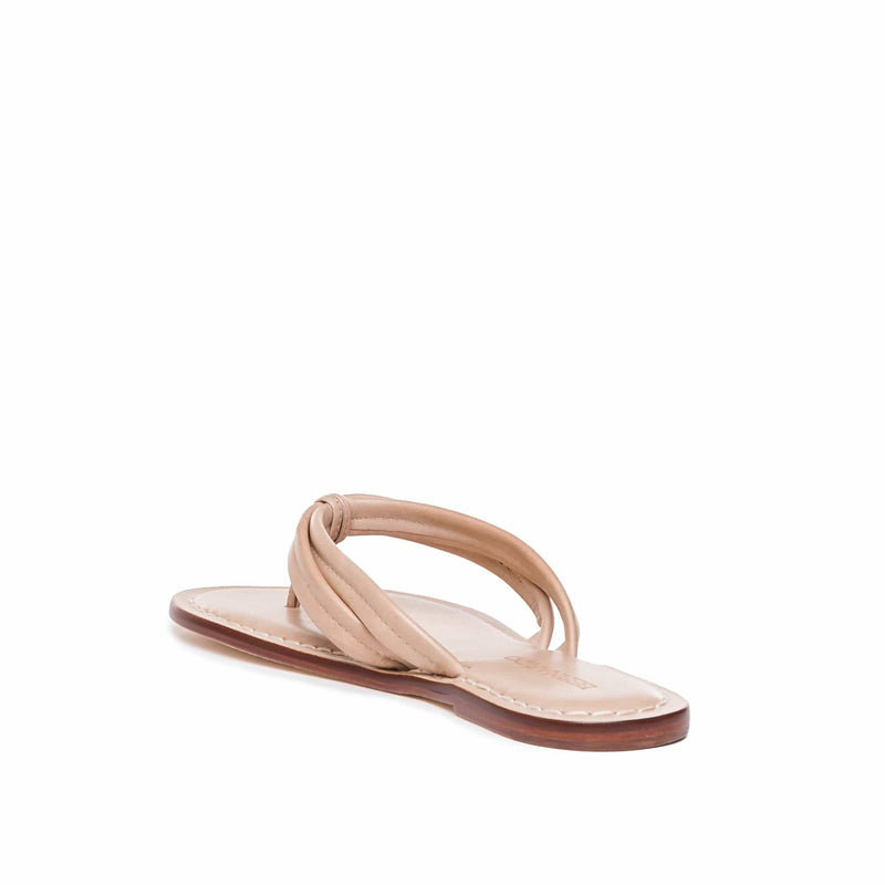 Sandalias Deslizantes Bernardo Miami Thong Mujer Rosas | OMQ8237RU