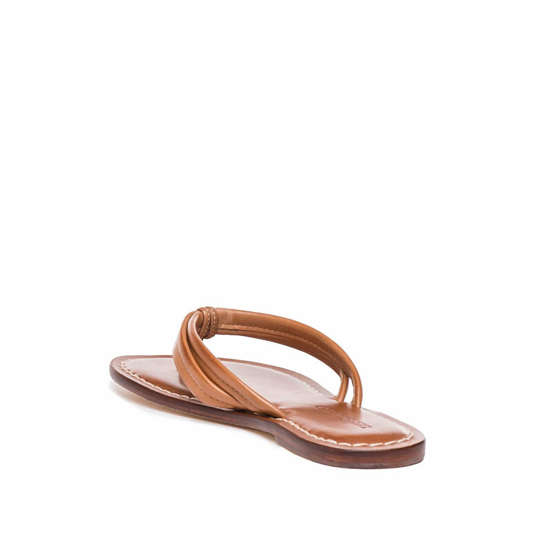 Sandalias Deslizantes Bernardo Miami Thong Mujer Marrom | WQJ8938FY