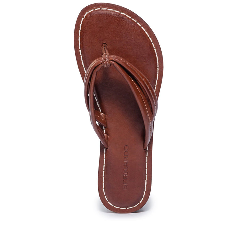 Sandalias Deslizantes Bernardo Miami Thong Mujer Chocolate | JYF7354NB