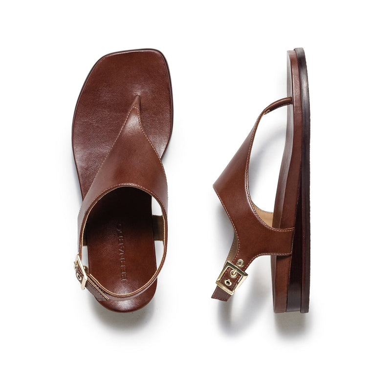 Sandalias Planas Bernardo Concord Thong Mujer Chocolate | JEO325SJ