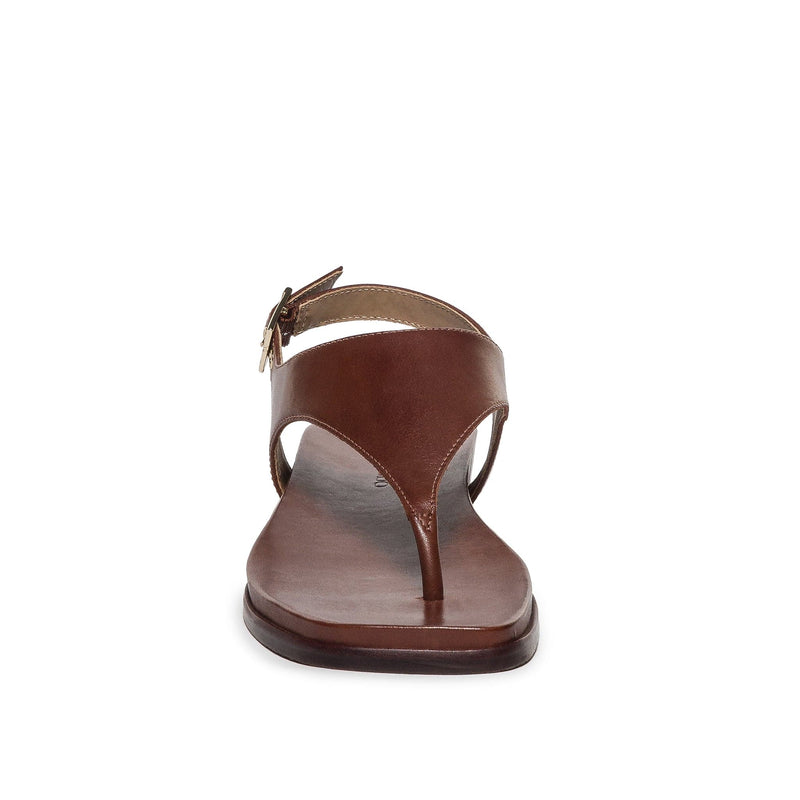 Sandalias Planas Bernardo Concord Thong Mujer Chocolate | JEO325SJ