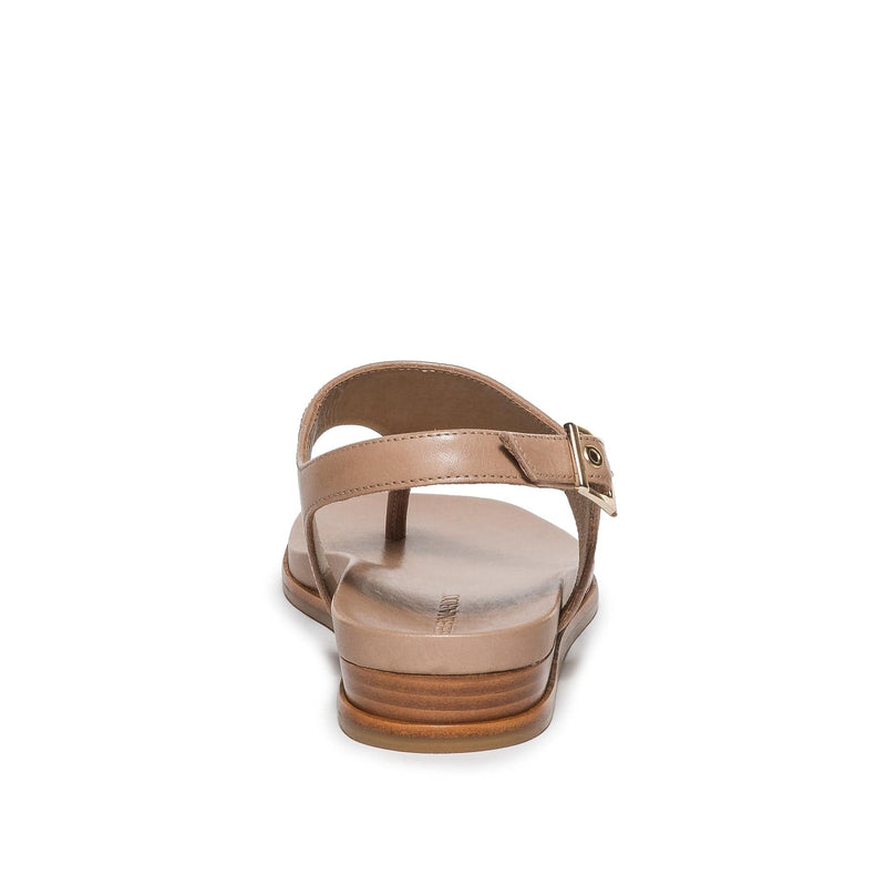Sandalias Planas Bernardo Concord Thong Mujer Marrom Claro | ZLJ6039DJ