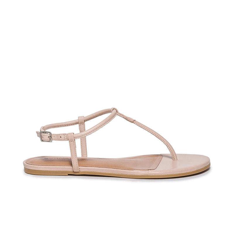 Sandalias Planas Bernardo Haven Thong Mujer Rosas | FMW3179TO