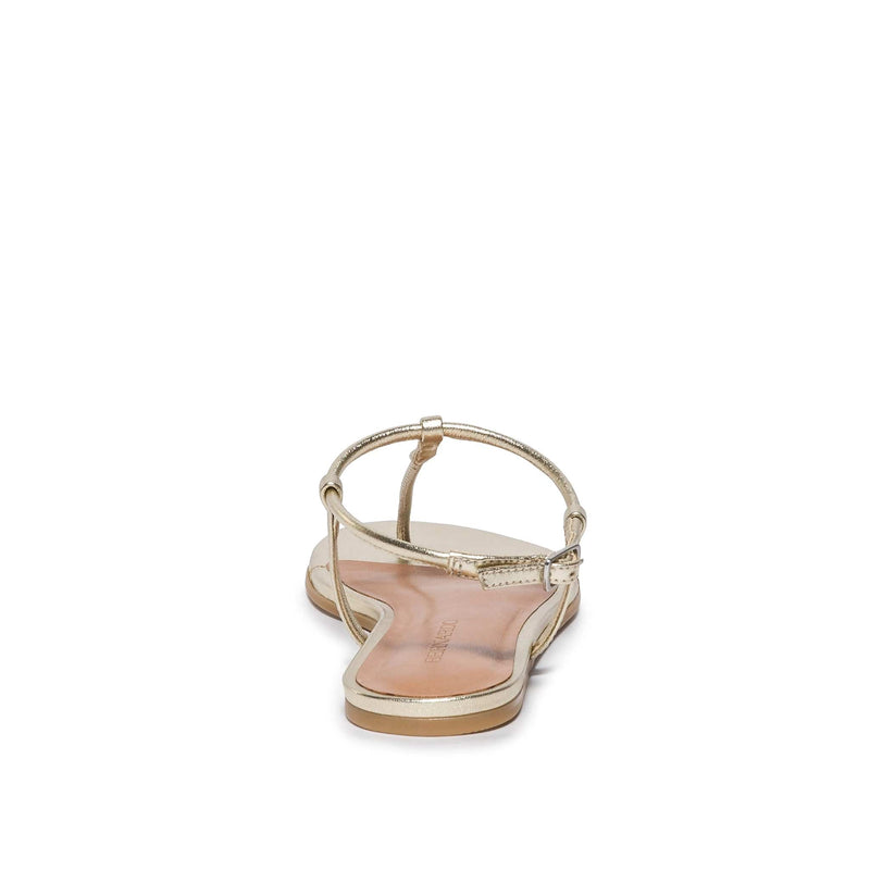 Sandalias Planas Bernardo Haven Thong Mujer Dorados | PLH7586OY