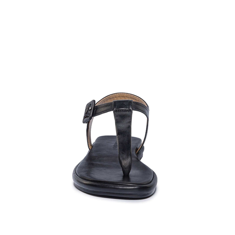 Sandalias Planas Bernardo Tucson T-Strap Mujer Negros | LQP1015BS