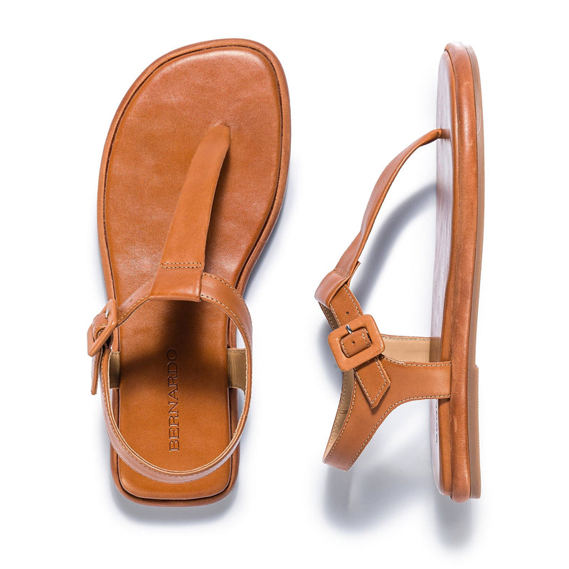 Sandalias Planas Bernardo Tucson T-Strap Mujer Marrom Oscuro | OJC1363QS