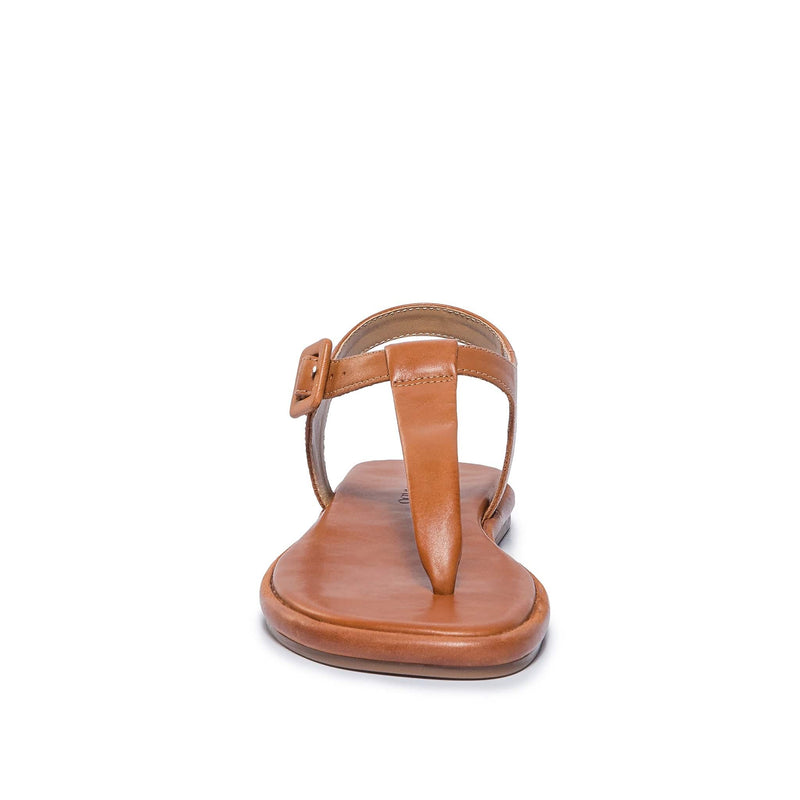 Sandalias Planas Bernardo Tucson T-Strap Mujer Marrom Oscuro | OJC1363QS